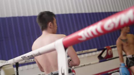 Muay-Thai-Boxer-Im-Boxring