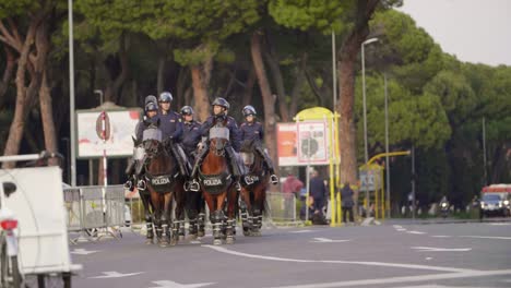 Police-Horses