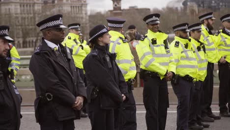 Britische-Polizeibeamte-In-Einer-Reihe