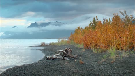 Herbstliche-Blätter-Am-Strand-Von-Alaska