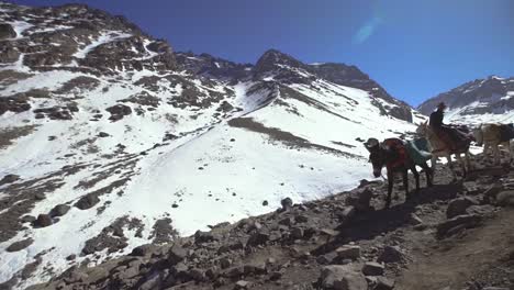 Mann-Mit-Packpferden-Am-Berghang