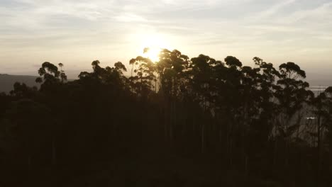 Sonnenuntergang-Mit-Bäumen-Im-Vordergrund