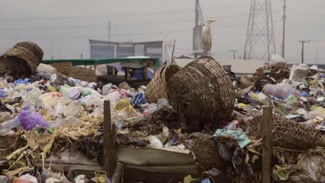 Müllhaufen-Nigeria