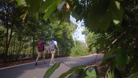 Botanic-Gardens-Path-Singapore-03