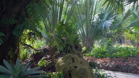 Man-Walking-Through-Tropical-Gardens