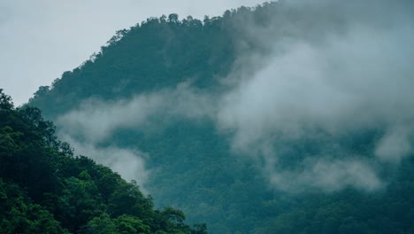 Dschungel-Nebel-Zeitraffer