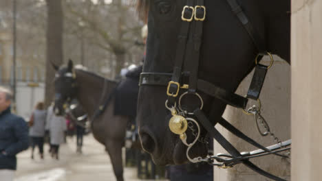 Pan-Enthüllung-Von-Pferd-Aus-Der-Haushaltskavallerie-In-Whitehall