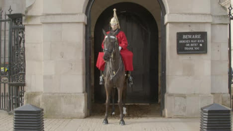 Pferdewächter-Im-Dienst-Bei-Whitehall