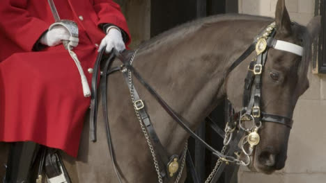 Nahaufnahme-Von-Horse-Guard-Im-Dienst-In-Whitehall