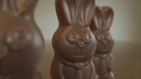 Panning-Past-Chocolate-Bunnies