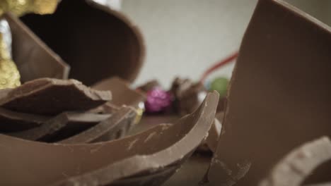 Tracking-in-Through-Broken-Chocolate-Eggs-and-Bunnies