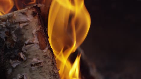 Burning-Logs-Slow-Motion-4K-05