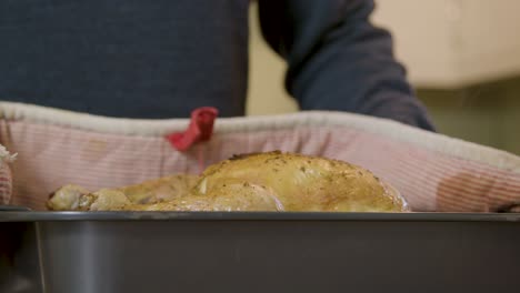 Close-Up-Roast-Chicken-From-the-Oven