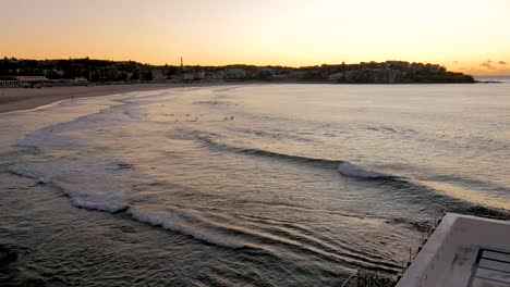 Surfer-Am-Bondi-Beach-Vor-Sonnenaufgang