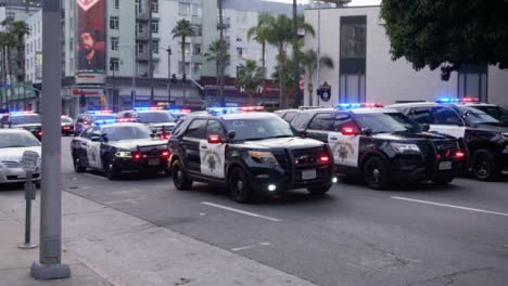 Hollywood-Rows-of-Static-Policía-Cars-Blocking-Road