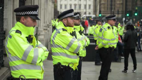 Londoner-Linie-Von-Polizisten-Auf-Der-Straße-Während-Der-Proteste