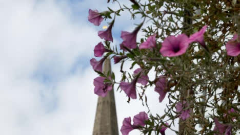 Rack-Fokus-Aufnahme-Von-An-Der-Wand-Befestigten-Blumen-Zum-Kirchturm-In-Oxford-England?