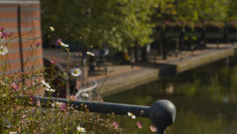 Panning-Shot-of-Decorative-Flowers-On-a-Canal-Bridge
