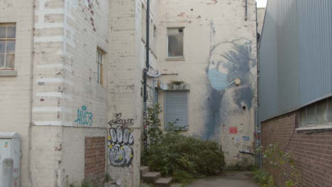 Wide-Shot-of-Banksy-Girl-Wearing-Pearl-Earrings-Artwork-In-Bristol-England
