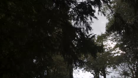 Sliding-Shot-Revealing-Cabot-Tower-From-Behind-Trees-In-Bristol-England