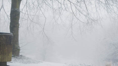 Tracking-Shot-Up-Steps-In-Snowy-Woodland-