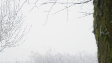 Pull-Focus-Shot-of-Person-Walking-Into-Mist-In-Snowy-Woodland-