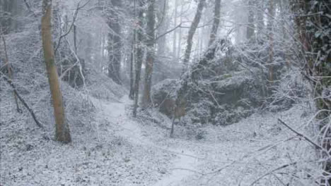 Kamerafahrt-Auf-Einem-Schneebedeckten-Fußweg-In-Einem-Verschneiten-Waldgebiet