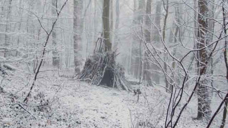 Tracking-Shot-Approaching-Man-Made-Shelter-In-Snowy-Woods