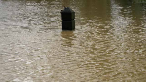 Long-Shot-of-Timber-Bollard-Almost-Entirely-Submerged-In-Flood
