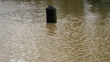 Tiro-Largo-De-Bolardo-De-Madera-Casi-Completamente-Sumergido-En-La-Inundación