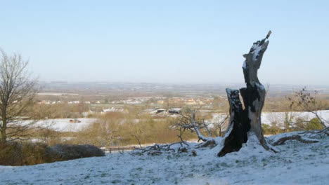 Panning-Shot-of-Dead-Tree-Surrounded-by-Snow-Covered-Countryside