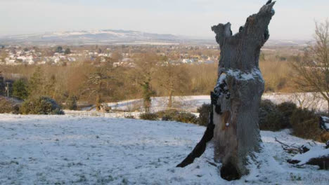 Panning-Shot-of-Dead-Tree-with-Snow-Covered-Countryside-In-Background