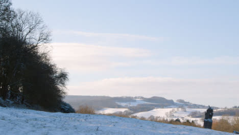 Panning-Shot-Treetops-In-Snow-Covered-Countryside-Landscape