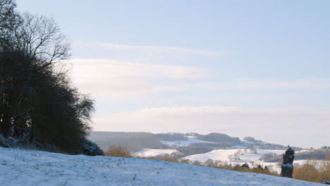 Panorámica-Shot-Copas-De-Los-árboles-En-El-Paisaje-Rural-Cubierto-De-Nieve