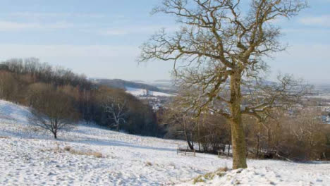 Tracking-Shot-Approaching-Tree-In-Snow-Covered-Field-Against-Cotswold-Landscape