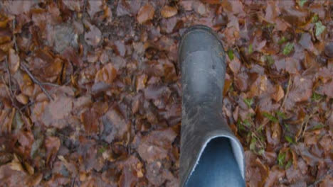 POV-Shot-Looking-Down-at-Feet-Walking-On-Forest-Floor