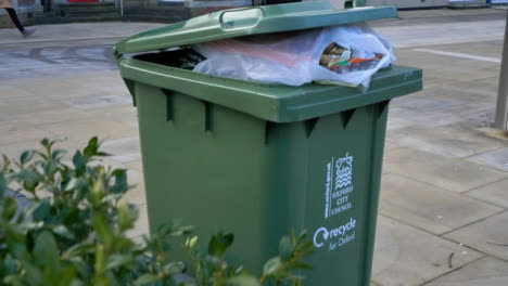 Tracking-Shot-Past-Bush-Revealing-Overflowing-Bin-On-Street