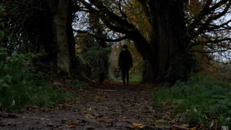 Low-Angle-Shot-of-Woman-Walking-a-Dog-In-the-Woods