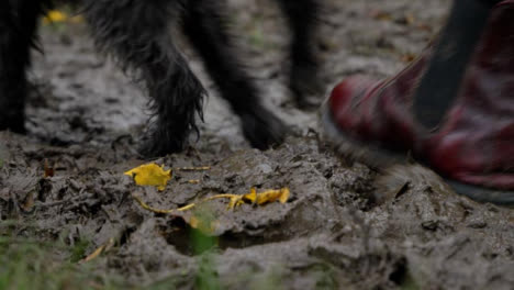 Close-Up-Shot-of-Dog-and-Dog-Walkers-Feet-Walking-Through-Thick-Mud-