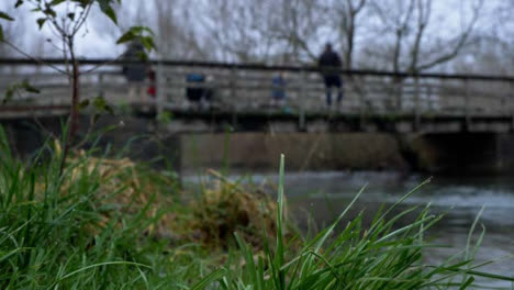 Low-Angle-Shot-of--Grass-Next-to-Stream-as-People-Walk-Over-Bridge-In-Background