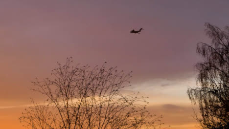 Wide-Shot-of-Tree-Branches-Swaying-In-Wind-as-Plane-Flies-Past-at-Sunset