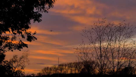 Wide-Shot-of-Tree-Branches-Swaying-In-Wind-as-Military-Plane-Flies-Past-at-Sunset