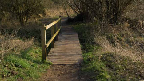 Tiro-De-Seguimiento-A-Lo-Largo-De-Un-Sendero-Y-Un-Puente-Del-Bosque