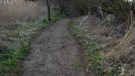 Kamerafahrt-Auf-Schlammigen-Waldweg