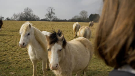 Over-the-Shoulder-Shot-of-Young-Woman-Looking-at-Herd-of-Horses