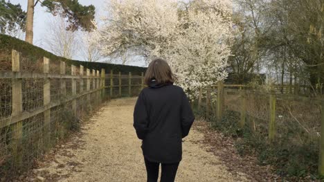 Tracking-Shot-Following-Young-Woman-Approaching-Blossom-Tree-