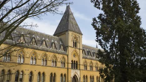 Weitschuss-Des-Oxford-University-Museum-Of-Natural-History