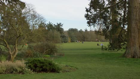 Tracking-Shot-Approaching-People-In-Distance-Enjoying-Afternoon-In-Park