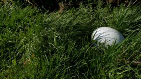 Medium-Shot-of-Rugby-Ball-Landing-In-Tall-Grass