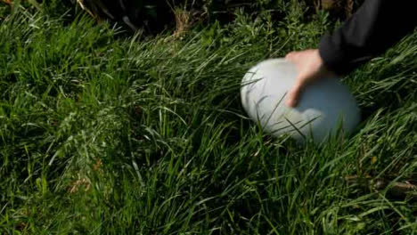 Mittlerer-Schuss-Rugbyball,-Der-Aus-Hohem-Gras-Entfernt-Wird